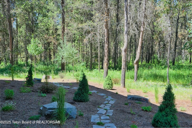 4327 Bridger Rdg, Ashton, ID 83420 - view of yard featuring a forest view