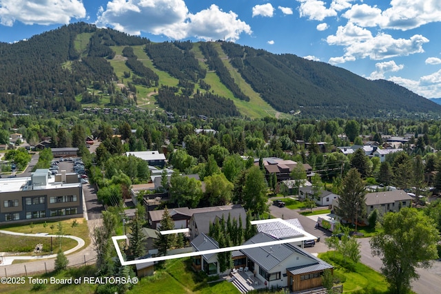 190 Moose St, Jackson, WY 83001
