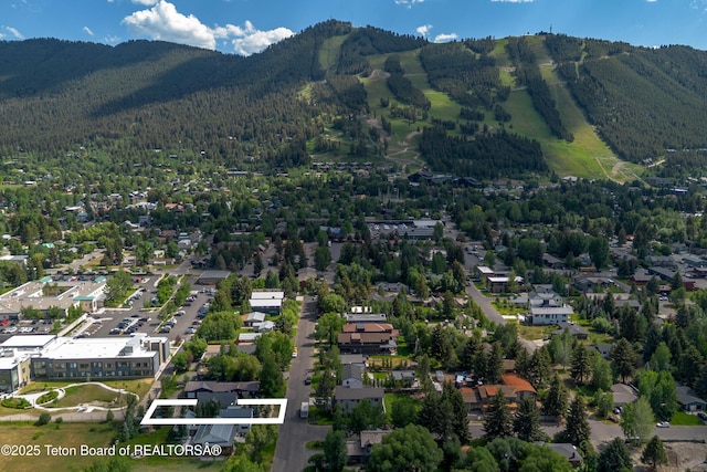 190 Moose St, Jackson, WY 83001