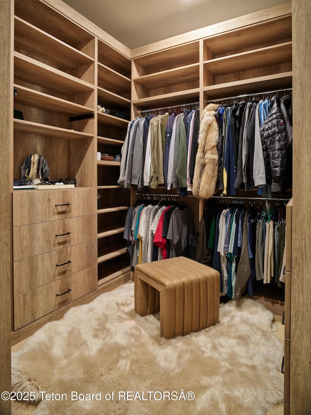 3220 N Teton Pines Dr, Wilson, WY 83014 - view of spacious closet
