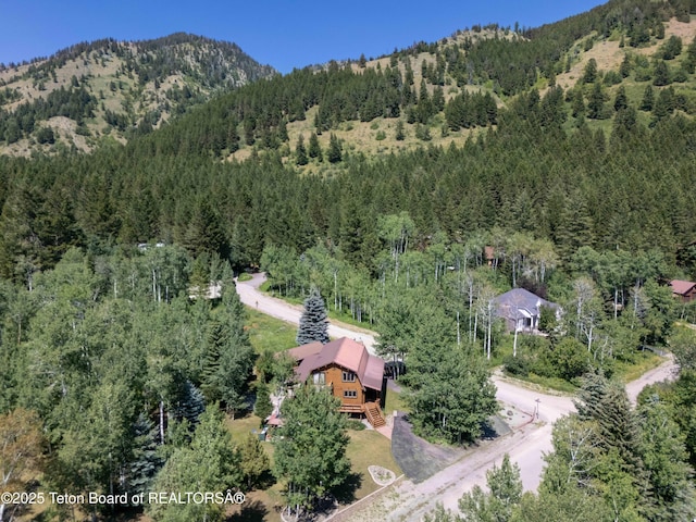 227 Hillside Circle Way, Star Valley Ranch, WY 83127 - photo 8
