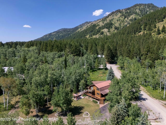 227 Hillside Circle Way, Star Valley Ranch, WY 83127 - photo 37