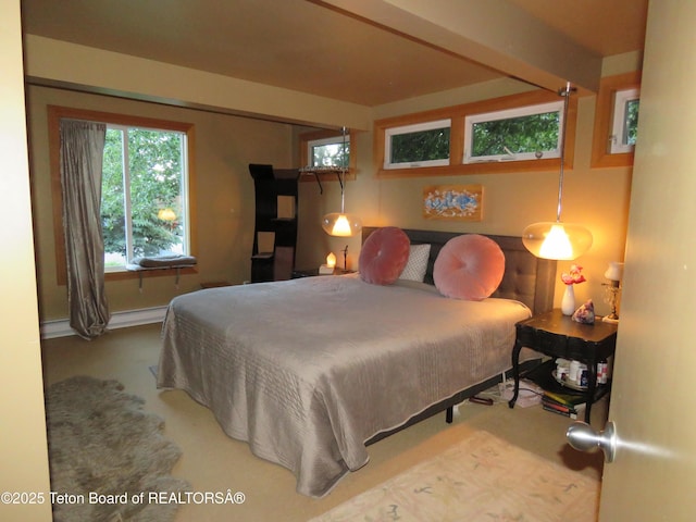 680 E Hall St, Jackson, WY 83001 - bedroom featuring baseboards and a baseboard radiator
