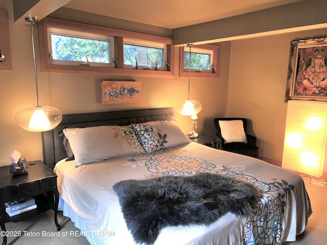 680 E Hall St, Jackson, WY 83001 - view of carpeted bedroom