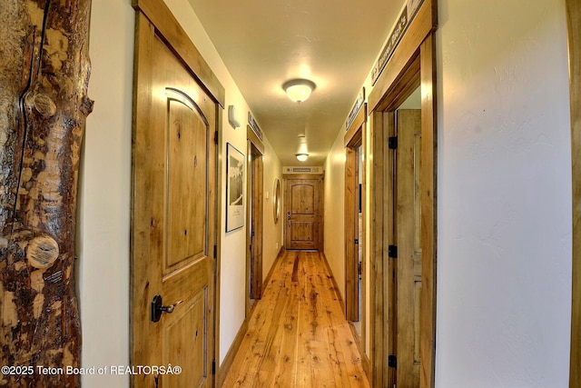 2160 Tomahawk Trl, Victor, ID 83455 - hallway featuring light wood finished floors