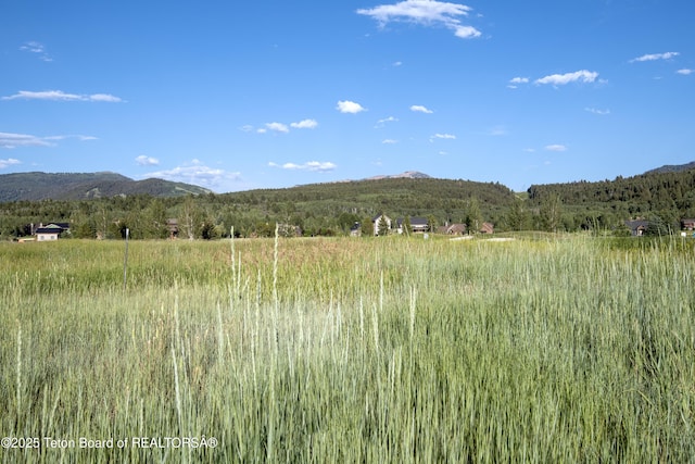 37 Springs Pkwy, Victor, ID 83455 - photo 2