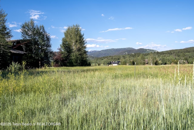 37 Springs Pkwy, Victor, ID 83455 - photo 3