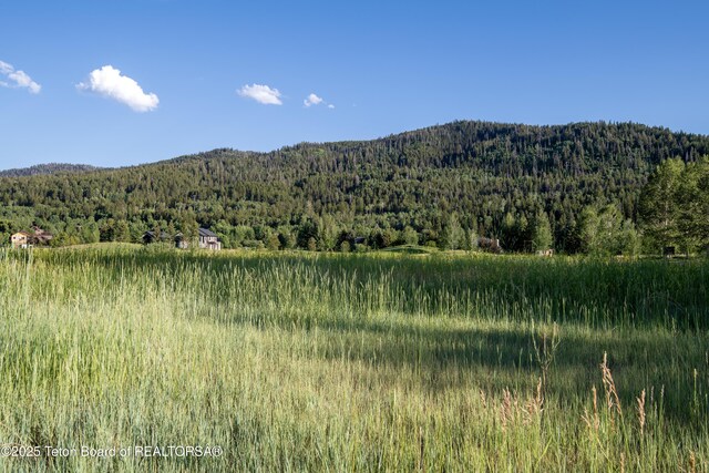 37 Springs Pkwy, Victor, ID 83455 - photo 4