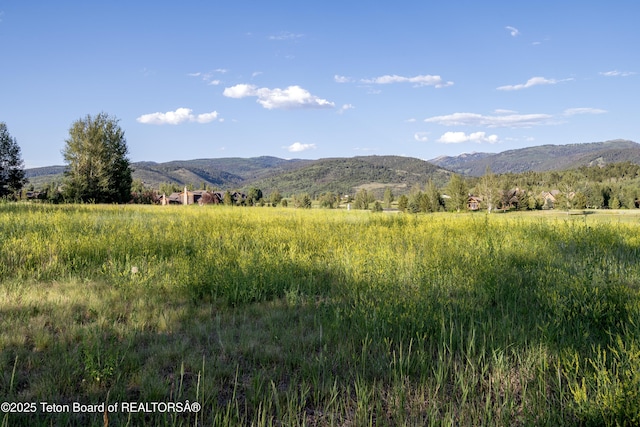37 Springs Pkwy, Victor, ID 83455 - photo 5