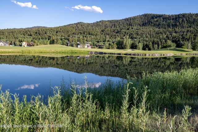 37 Springs Pkwy, Victor, ID 83455 - photo 8