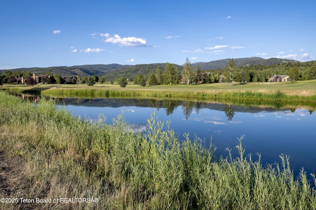 37 Springs Pkwy, Victor, ID 83455 - photo 9