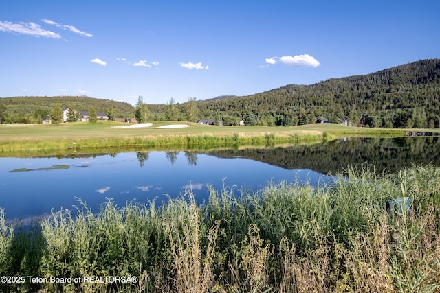 37 Springs Pkwy, Victor, ID 83455 - photo 10