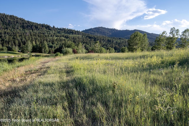 37 Springs Pkwy, Victor, ID 83455 - photo 12
