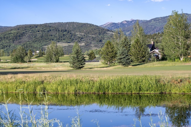 37 Springs Pkwy, Victor, ID 83455 - photo 15