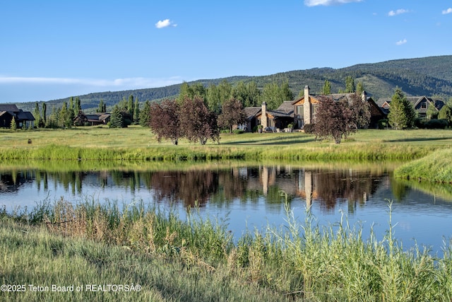 37 Springs Pkwy, Victor, ID 83455 - photo 16