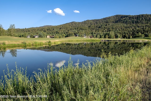 37 Springs Pkwy, Victor, ID 83455 - photo 17