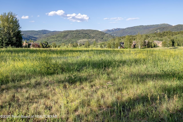 37 Springs Pkwy, Victor, ID 83455 - photo 6