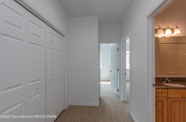80 Eva Ln Unit 14, Victor, ID 83455 - hall featuring a sink and light colored carpet