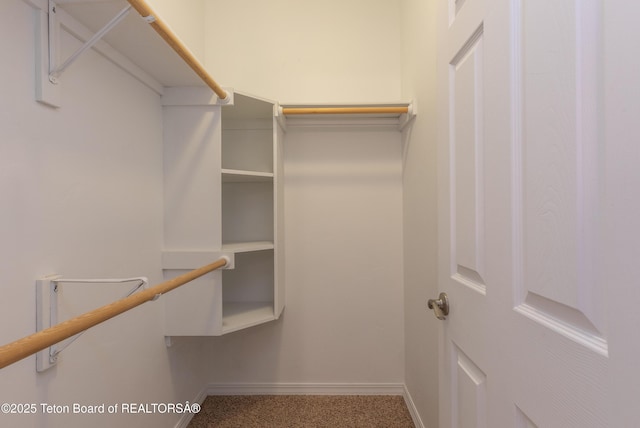 80 Eva Ln Unit 14, Victor, ID 83455 - view of walk in closet