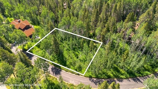 5300 W Woodchuck Rd, Wilson, WY 83014