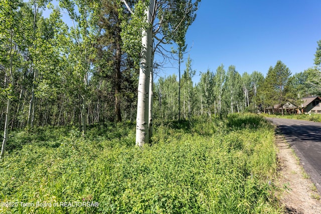 5300 W Woodchuck Rd, Wilson, WY 83014