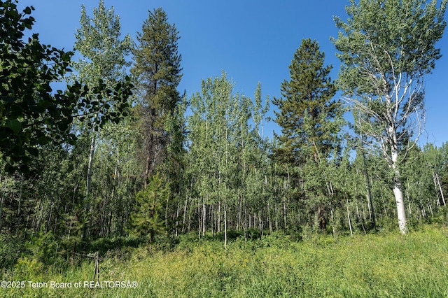 5300 W Woodchuck Rd, Wilson, WY 83014