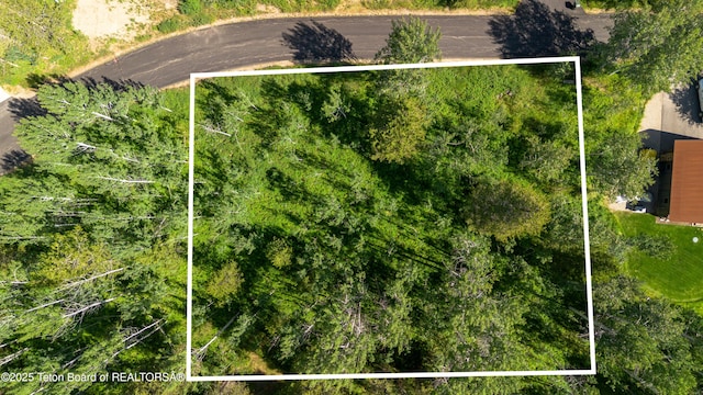 5300 W Woodchuck Rd, Wilson, WY 83014