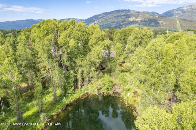 3760 N Moose-Wilson Rd, Wilson, WY 83014 - view of mountain background featuring a heavily wooded area and a nearby body of water