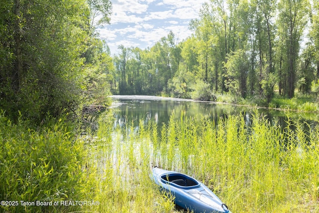 3760 N Moose-Wilson Rd, Wilson, WY 83014 - water view with a heavily wooded area