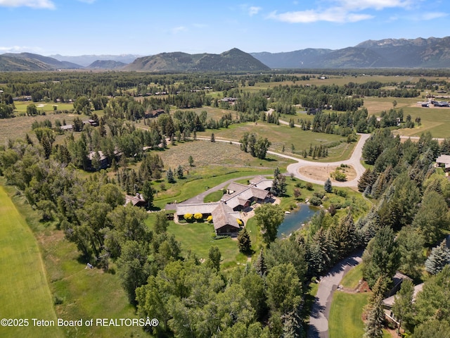 500 E Buckwheat Cir, Jackson, WY 83001 - bird's eye view of mountains