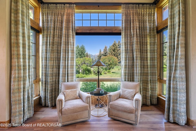 500 E Buckwheat Cir, Jackson, WY 83001 - living area with wood finished floors and plenty of natural light