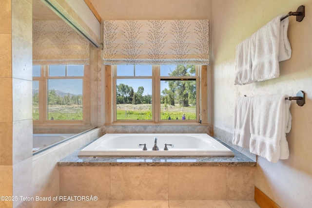 500 E Buckwheat Cir, Jackson, WY 83001 - bathroom with plenty of natural light and a bath