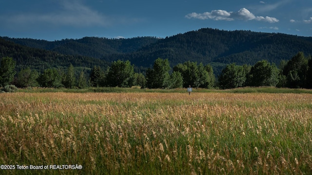 9460 Timberline Loop, Victor, ID 83455