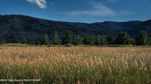 9460 Timberline Loop, Victor, ID 83455