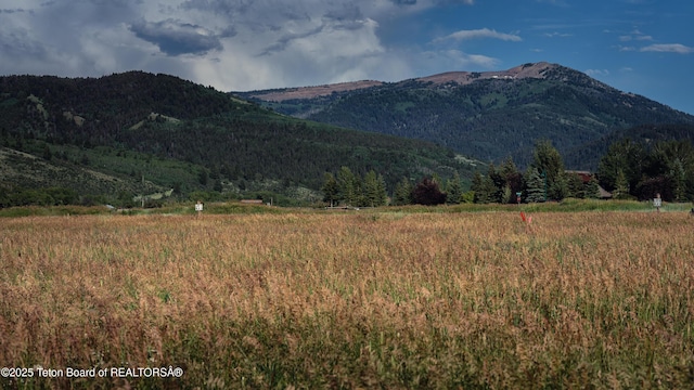 9460 Timberline Loop, Victor, ID 83455