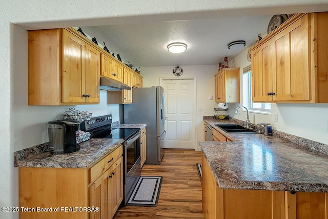 158 Holly Dr, Star Valley Ranch, WY 83127 - kitchen with stainless steel appliances, under cabinet range hood, wood finished floors, and dark countertops