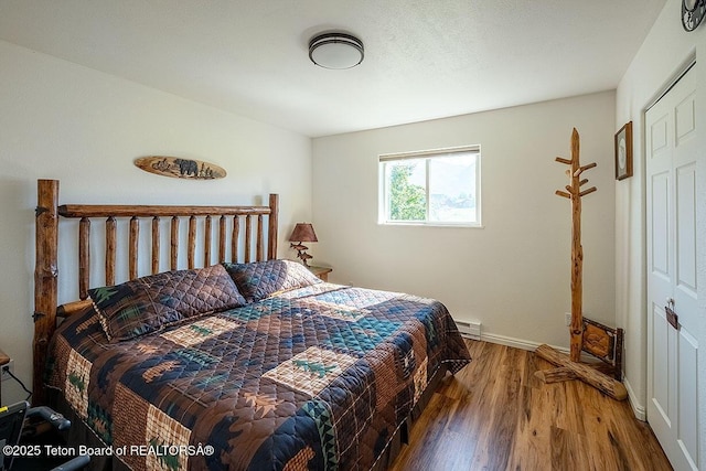 158 Holly Dr, Star Valley Ranch, WY 83127 - bedroom with wood finished floors, a baseboard heating unit, and a closet