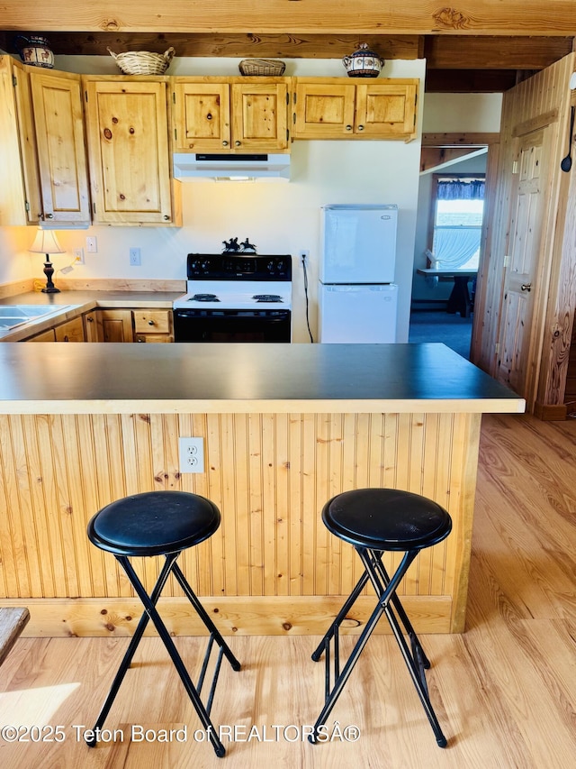 109 E Fontenelle Dr, Daniel, WY 83115 - kitchen featuring black / electric stove, freestanding refrigerator, under cabinet range hood, light wood finished floors, and a kitchen bar