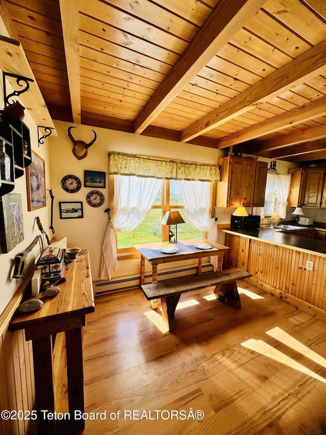 109 E Fontenelle Dr, Daniel, WY 83115 - game room featuring a wooden ceiling with exposed beams and light wood finished floors