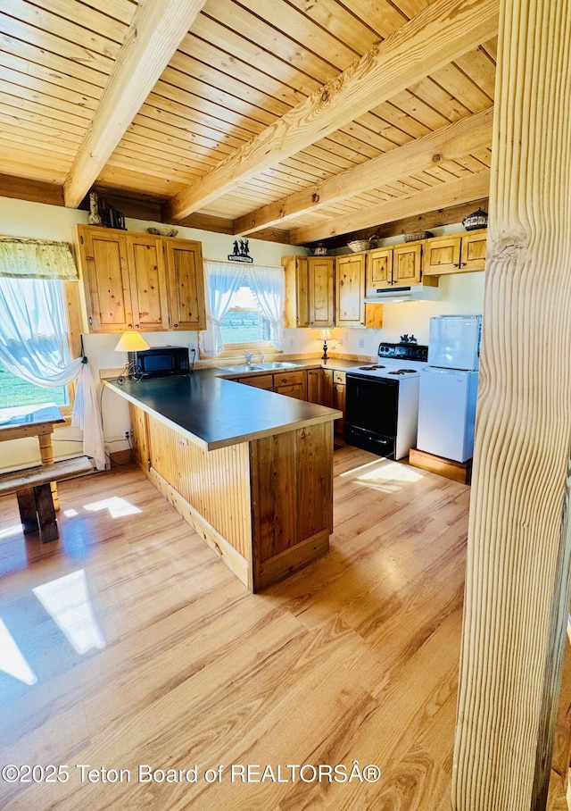 109 E Fontenelle Dr, Daniel, WY 83115 - kitchen featuring electric range oven, light wood finished floors, under cabinet range hood, a peninsula, and freestanding refrigerator