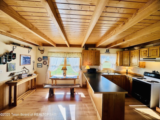 109 E Fontenelle Dr, Daniel, WY 83115 - kitchen with range with electric cooktop, a wood ceiling with exposed beams, under cabinet range hood, light wood-style flooring, and brown cabinets