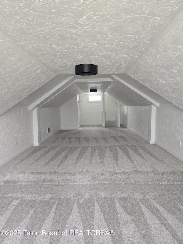 6270 S 3rd St, Tetonia, ID 83452 - bonus room with a textured wall, a textured ceiling, carpet flooring, and vaulted ceiling