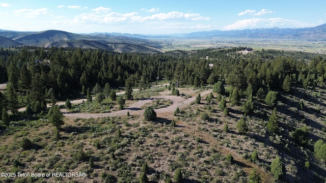 Stonegate Dr, Afton, WY 83110