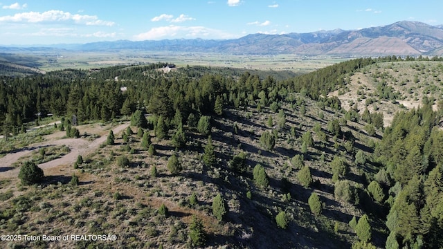 Stonegate Dr, Afton, WY 83110