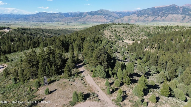 Stonegate Dr, Afton, WY 83110