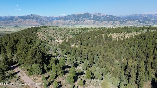 Stonegate Dr, Afton, WY 83110
