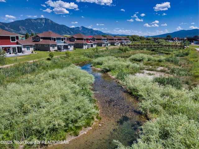 151 Stonefly Ln, Swan Valley, ID 83449 - view of yard with a mountain view and a residential view