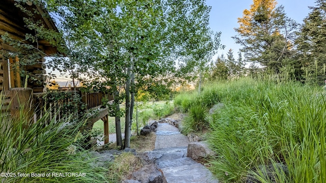 8157 Ripplinger Rd, Driggs, ID 83422 - view of yard