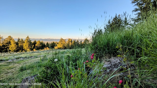 8157 Ripplinger Rd, Driggs, ID 83422 - view of yard at dusk