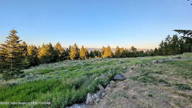 8157 Ripplinger Rd, Driggs, ID 83422 - view of yard